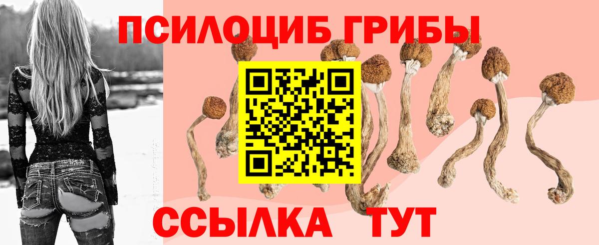 Псилоцибиновые грибы Psilocybine cubensis Соликамск