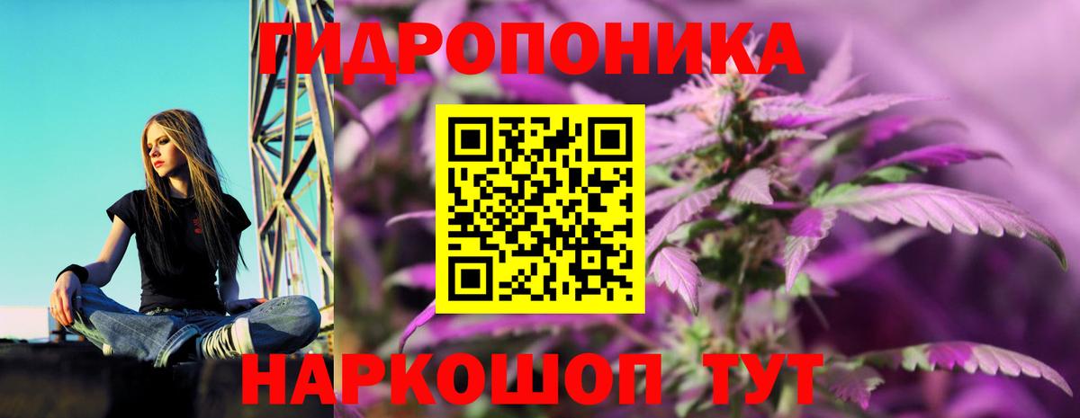 Соликамск  Марихуана Bruce Banner  Вход с VPN  Канабис Ganja 